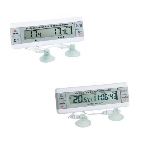Two Temperature Thermometers
